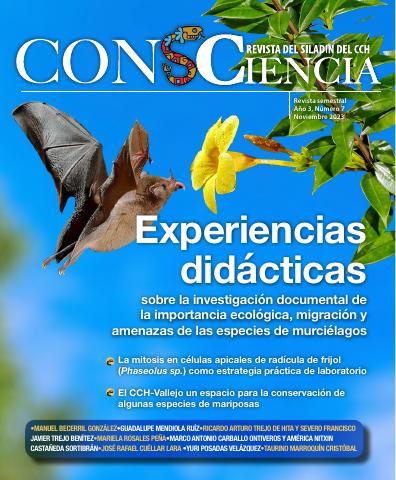 Portada de Consciencia 8 Experiencias Didácticas
