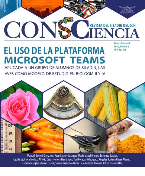 Portada de El uso de la plataforma Microsoft Teams aplicada a un grupo de alumnos de SILADIN