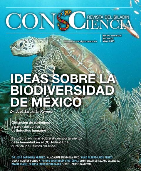 Portada de Variación genética de poblaciones residentes y migratorias de mariposa Monarca