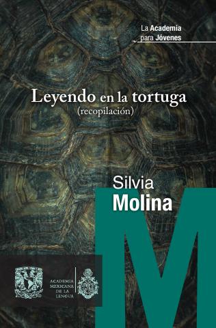 Portada de 13 Leyendo La Tortuga