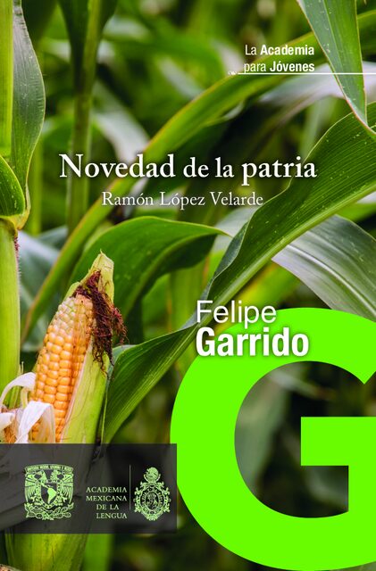 Portada de Novedad de la patria